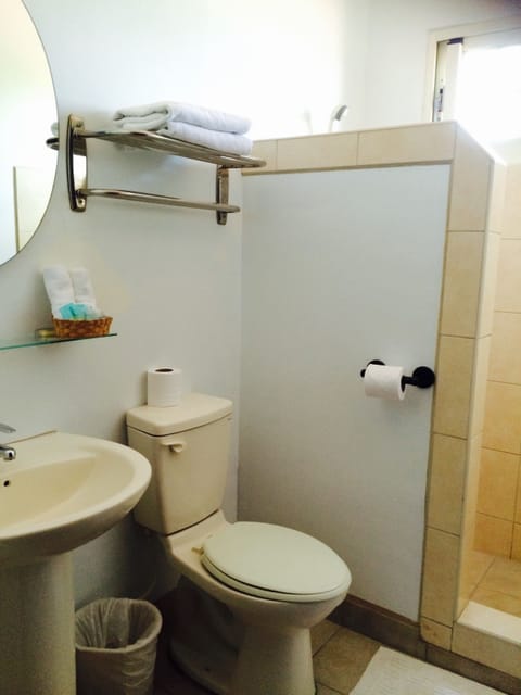 Standard Double Room | Bathroom | Shower, free toiletries, towels