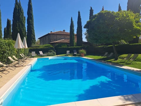 Garden, Outdoor, Pool, Scenic View