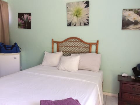 Standard Single Room (No A/C) | In-room safe, desk, iron/ironing board, free WiFi