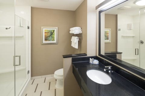 Suite, 1 King Bed with Sofa bed | Bathroom | Combined shower/tub, free toiletries, hair dryer, towels