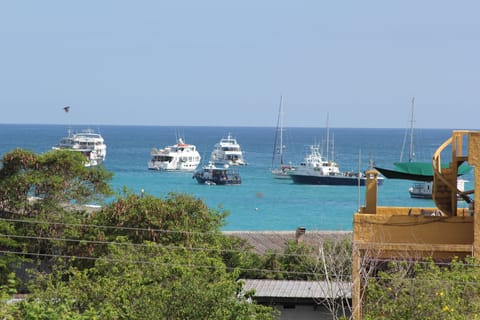 Panoramic Suite, 1 Queen Bed, Non Smoking, Ocean View | View from room