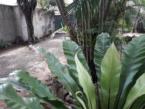 Standard Room, Garden View (With Fan) | Terrace/patio