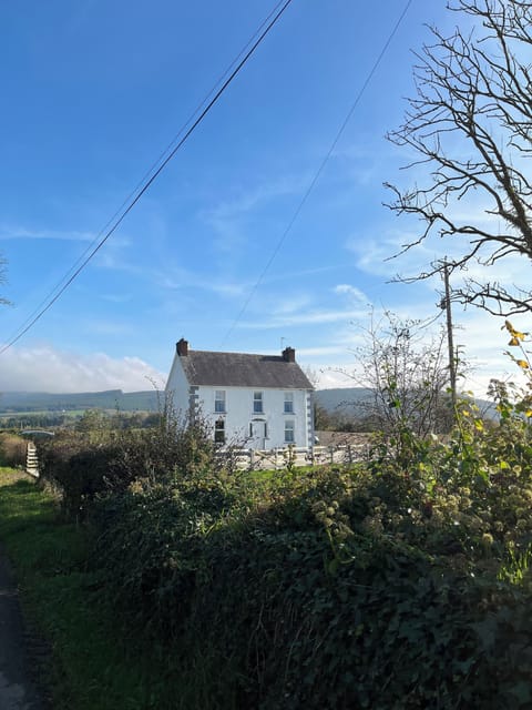 The Property
