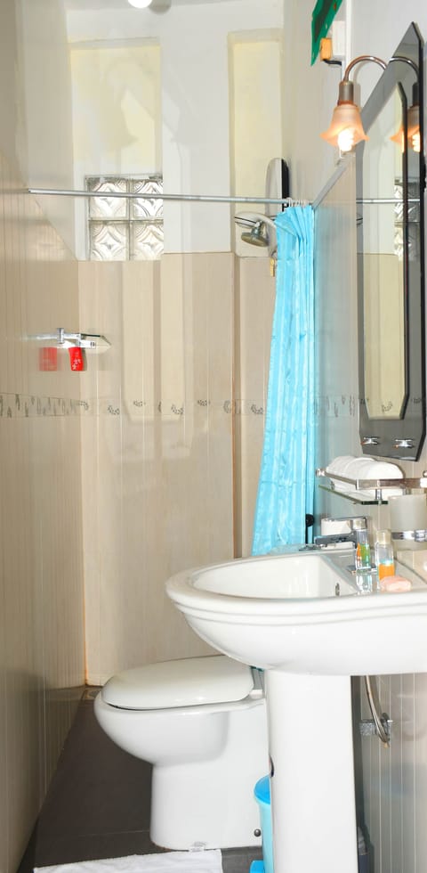 Standard Double Room | Bathroom | Shower, free toiletries, hair dryer, towels