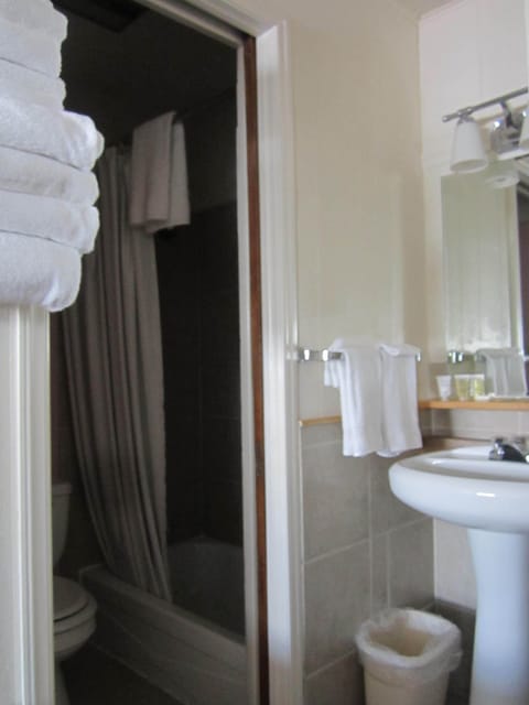 Family Room | Bathroom | Combined shower/tub, free toiletries, hair dryer, towels