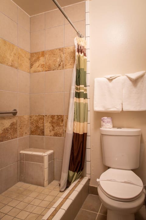 Combined shower/tub, free toiletries, towels