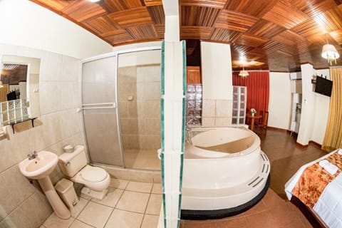 Executive Suite | Bathroom | Free toiletries