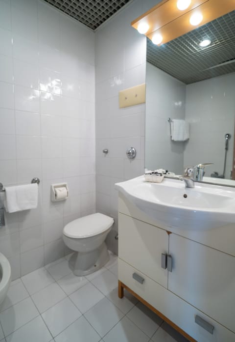 Rainfall showerhead, hair dryer, bidet, towels