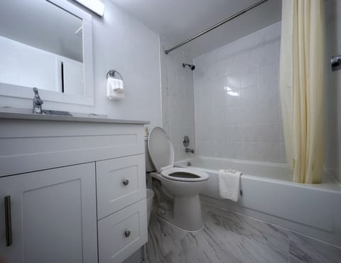 Deluxe Suite, 1 Bedroom, Non Smoking, Lake View | Bathroom | Combined shower/tub, free toiletries, hair dryer, towels