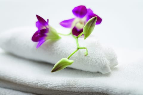 Eco-friendly toiletries, hair dryer, towels