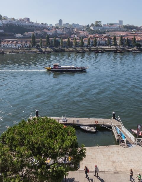 Studio, Balcony, River View | View from room