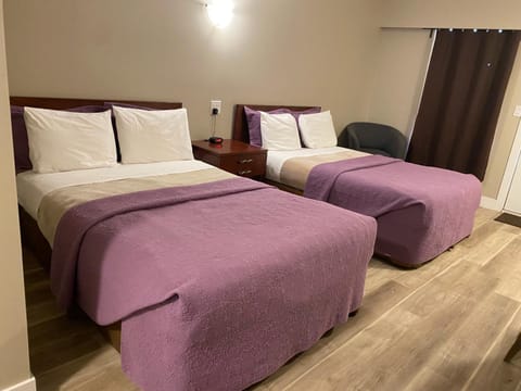 Rollaway beds, free WiFi, bed sheets