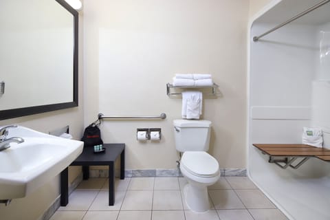 Standard Room, 1 King Bed, Accessible, Non Smoking | Bathroom | Free toiletries, hair dryer, towels