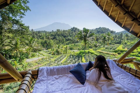 Exclusive Villa, 1 King Bed, Balcony, Garden View | Free WiFi, bed sheets