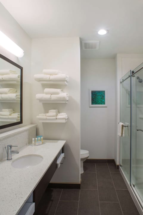 Combined shower/tub, free toiletries, hair dryer, towels