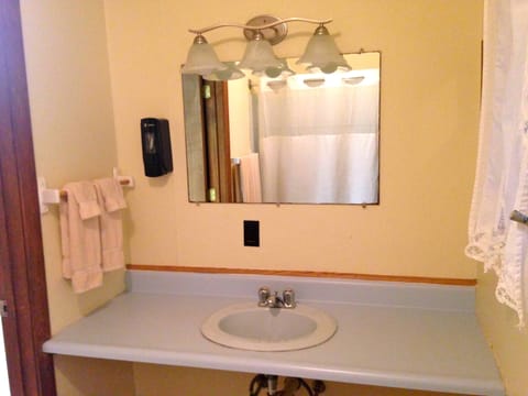 Family Suite | Bathroom | Shower, free toiletries, towels