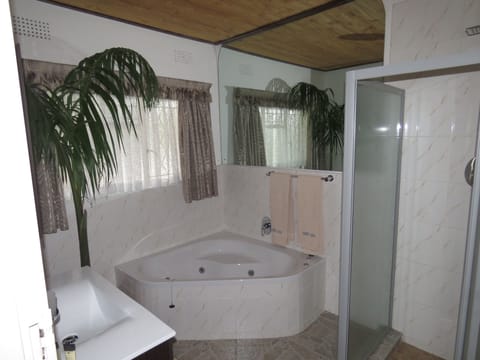 Deluxe Queen Suite | Bathroom shower