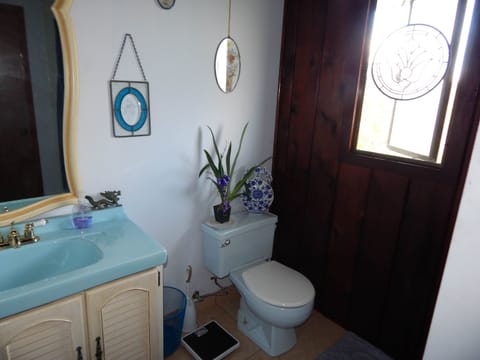 Deluxe Room, 1 Queen Bed, Private Bathroom (Master) | Bathroom | Free toiletries, hair dryer, towels