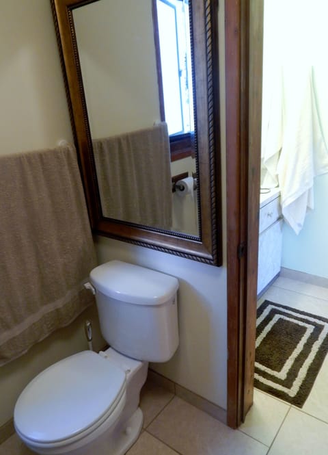 Deluxe Room, 1 King Bed, Private Bathroom (Master) | Bathroom | Free toiletries, hair dryer, towels