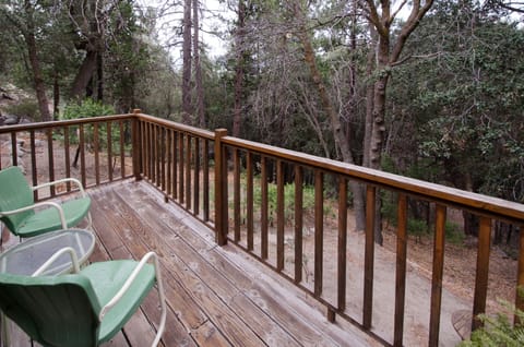 Forest Hideaway Studio Cabin (no pets) | Balcony