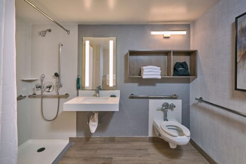 Room, 1 King Bed, Accessible (3x3 Shower) | Bathroom shower