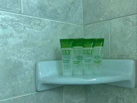 Combined shower/tub, free toiletries, hair dryer, towels