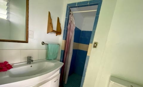 Room (with Air Conditioning) | Bathroom | Shower, towels, toilet paper