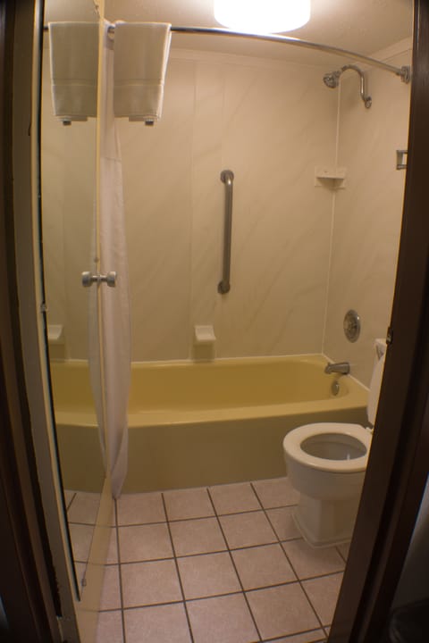 Combined shower/tub, free toiletries, hair dryer, towels