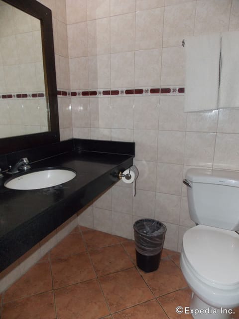 Businessman Suite | Bathroom | Shower, free toiletries, hair dryer, towels