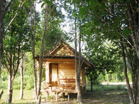 Banana Bungalow | Terrace/patio