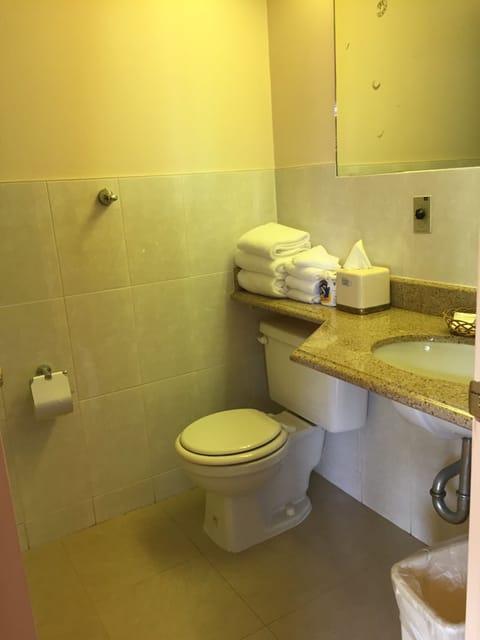 Combined shower/tub, free toiletries, towels