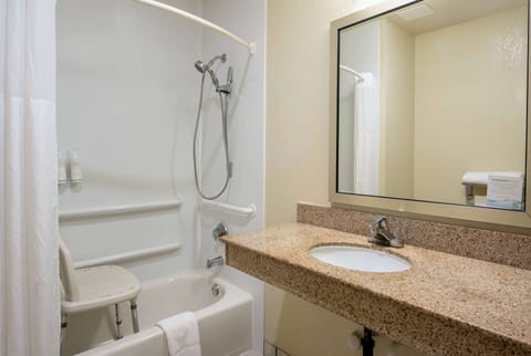 Standard Room, 1 Queen Bed, Accessible, Non Smoking | Accessible bathroom