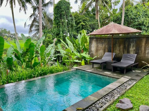 Villa, 1 Bedroom, Private Pool | View from room