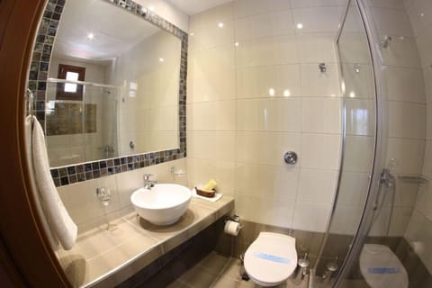 Double or Twin Room | Bathroom | Shower, free toiletries, hair dryer, bathrobes