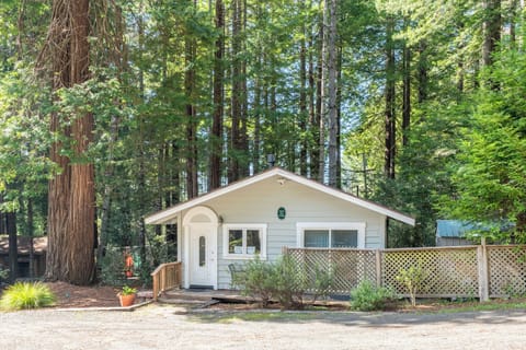 Welcome to Green Tree Cottage
