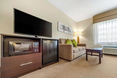 Suite, 1 King Bed with Sofa bed, Accessible, Non Smoking | Premium bedding, down comforters, desk, laptop workspace