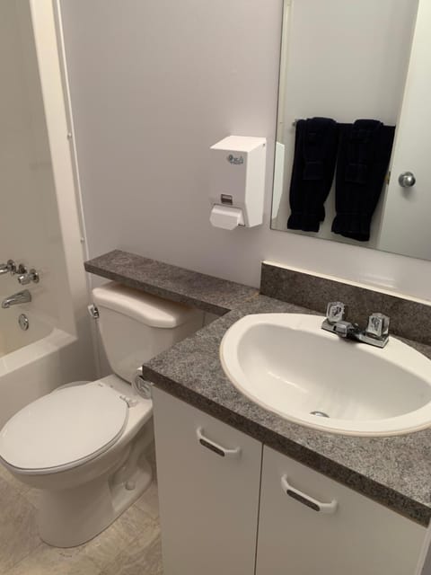 Combined shower/tub, free toiletries, hair dryer, towels