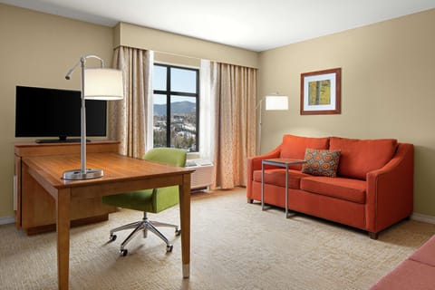 Studio Suite, 1 King Bed, Refrigerator & Microwave, Mountain View | Blackout drapes, iron/ironing board, free WiFi, bed sheets