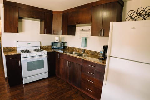 Villa | Private kitchen | Coffee/tea maker, cleaning supplies