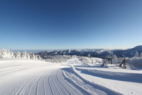 Snow and ski sports