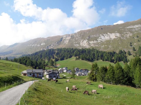 Mountain, Mountainous Landforms, Hill, Vegetation, Highland, Mountain Range, Hill Station, Landscape, Valley, Terrain