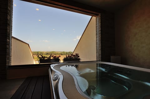 Sauna, Turkish bath, aromatherapy, Thai massages, Ayurvedic treatments