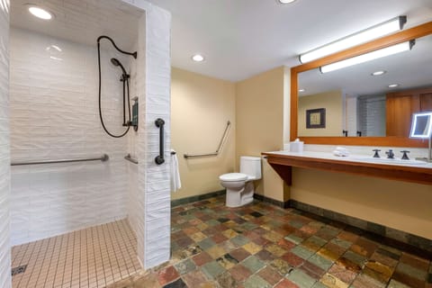 1 Bedroom 1 Queen Suite with Roll-in Shower | Bathroom shower