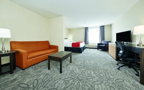 Suite, 1 King Bed, Non Smoking | Hypo-allergenic bedding, desk, iron/ironing board, free WiFi