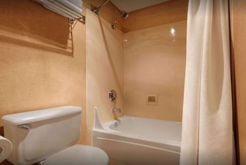 Combined shower/tub, free toiletries, hair dryer, bathrobes