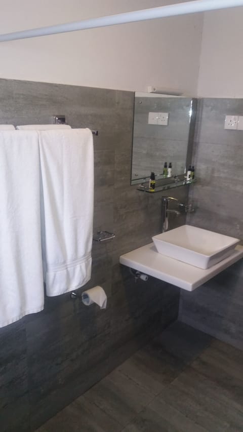 DELUXE FAMILY ROOM | Bathroom | Shower, free toiletries, hair dryer, bidet