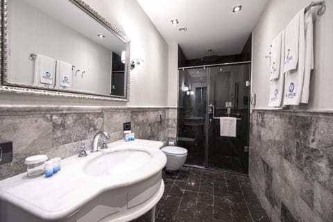 Standard Double or Twin Room | Bathroom | Shower, free toiletries, hair dryer, bathrobes