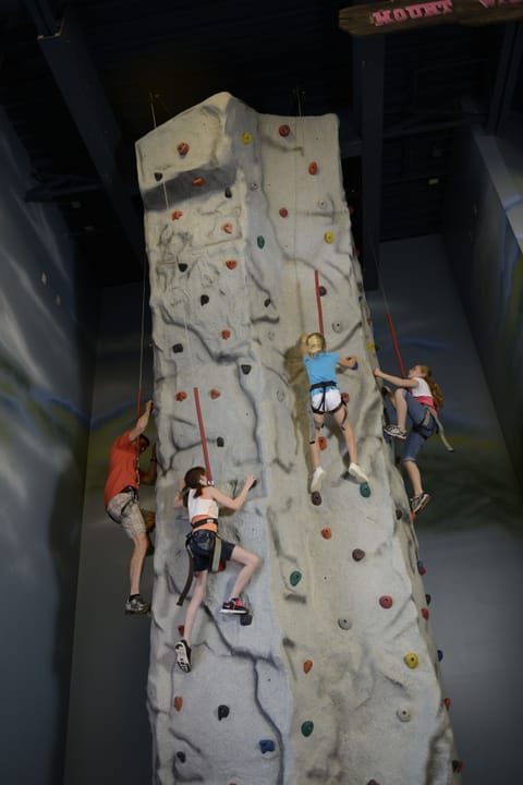 Rock climbing wall - indoor