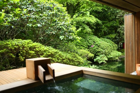 (Main Bldg.) Japanese Style Standard Room with Private Open Air Bath (Non-Smoking) | View from room