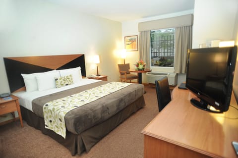 Standard Room, 1 King Bed, Accessible, Non Smoking | Premium bedding, in-room safe, desk, blackout drapes